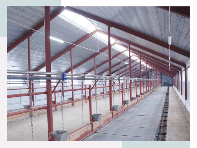 Строительство коровников в Уфе от 617 руб.